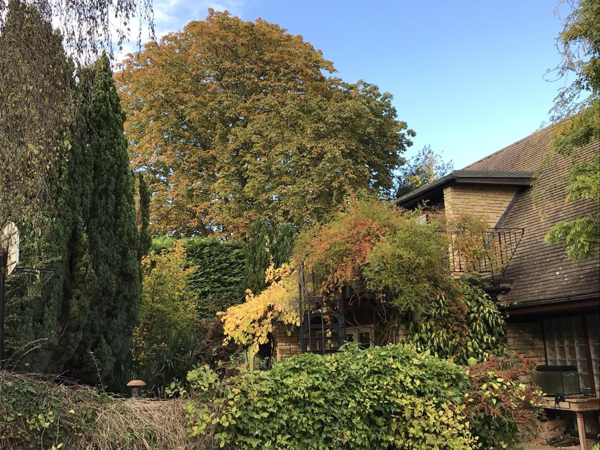 Sandford Meadow Guest House Kennington (Oxfordshire) Quarto foto